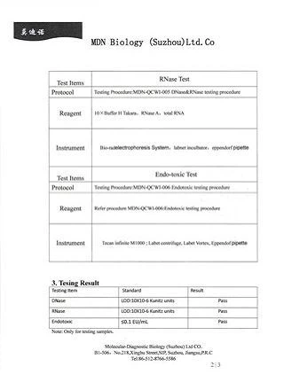 dnase rnase and pyrogen testing report 2