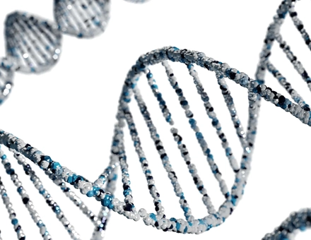 Genomics Laboratory Consumables