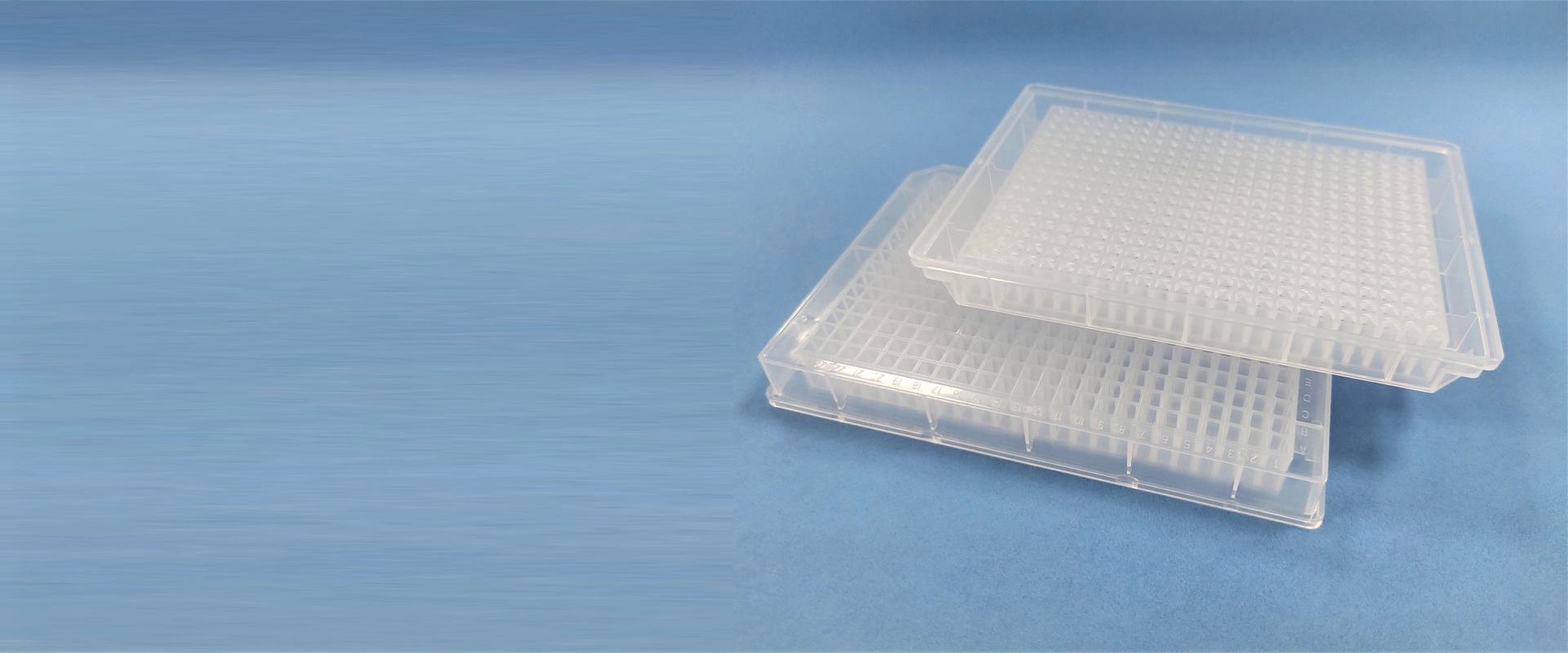 384 Well Microplate